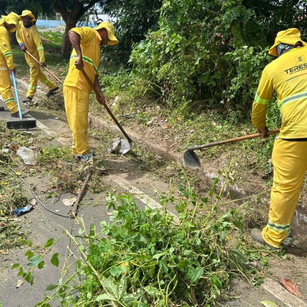 SDU Sudeste recolhe 656 toneladas de resíduos durante mutirão em Teresina