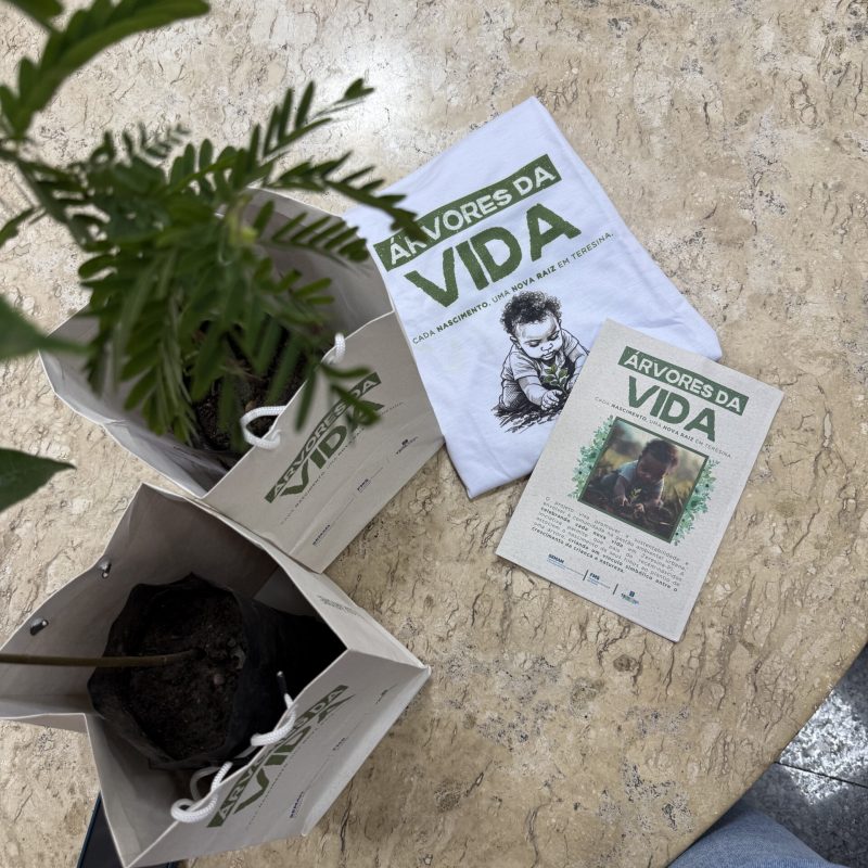 Projeto Árvore da Vida já entregou 552 mudas frutíferas a famílias nas maternidades de Teresina