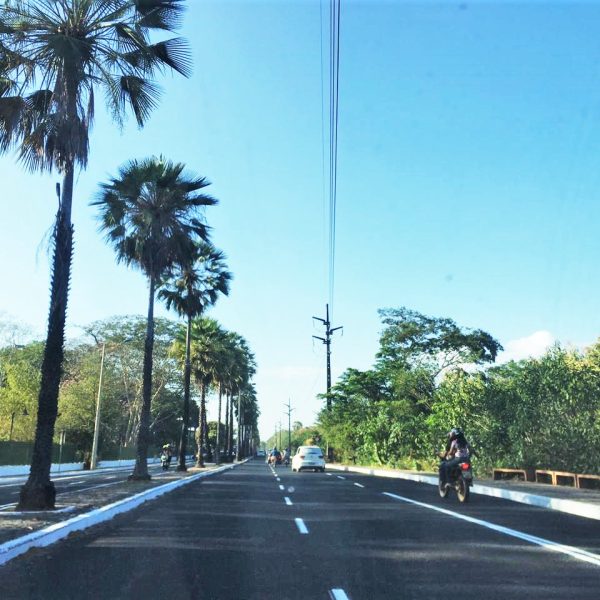 Novo semáforo entra em operação e STRANS inicia transformação de rotatória na Avenida Maranhão